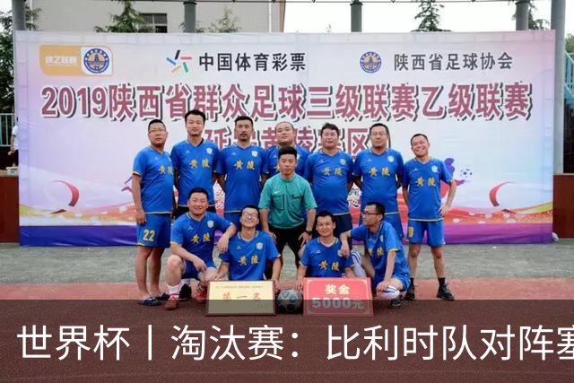 世界杯丨淘汰赛：比利时队对阵塞内加尔队